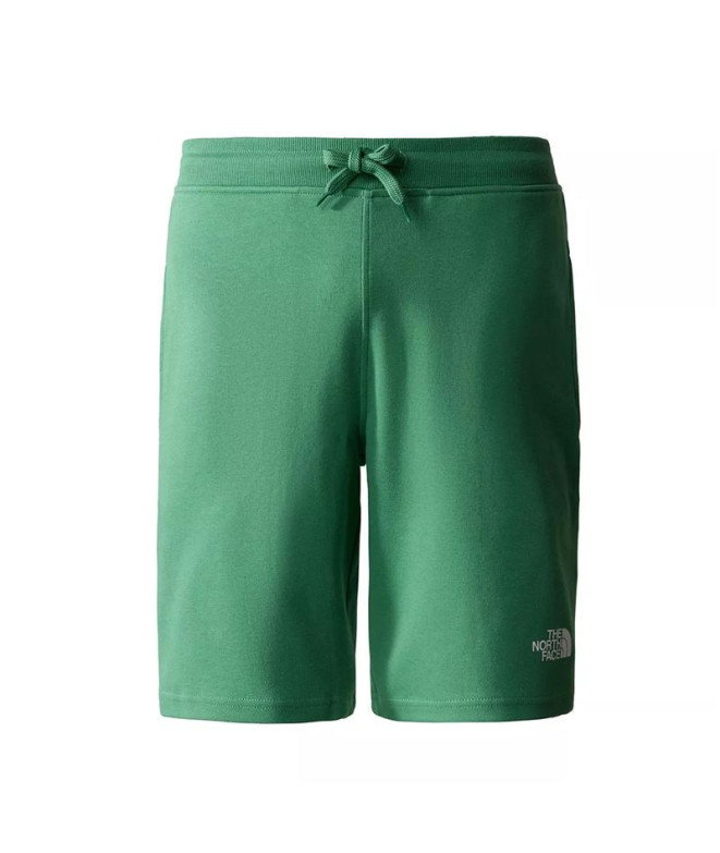 Pantalons short The North Face Graphic Light...