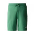 Pantalons short The North Face Graphic Light Deep Grass Homme