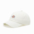 Cap Dickies Hardwick Cloud White