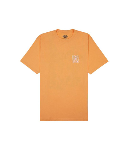 T-shirt Dickies Papaye de Creswell Homme