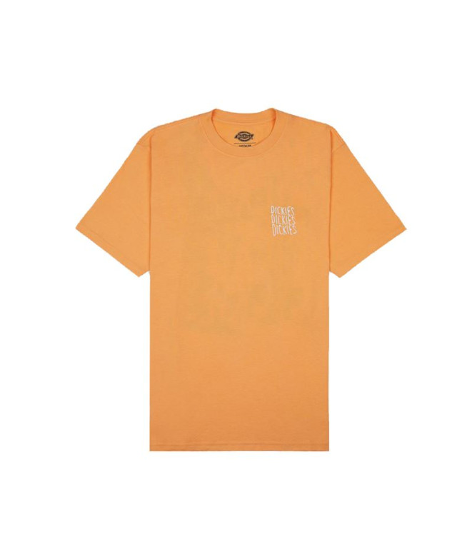 T-shirt Dickies Papaye de Creswell Homme