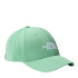 Chapeau Mountain Hat The North Face Recyclé 66 Vert classique