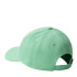 Chapeau Mountain Hat The North Face Recyclé 66 Vert classique