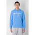 Sweat Champion Sweat à capuche bleu Homme
