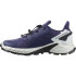 Chaussures de running Salomon Supercross 4 Gore-Tex