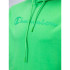 Sweatshirt Champion Hooded Sweatshirt Green Men's