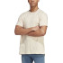 T-shirt adidas All Szn Man Beige