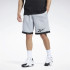 Pantalons Reebok Homme Basketball Mesh Grey