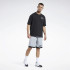 Pantalons Reebok Homme Basketball Mesh Grey