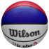 Balle Basket-ball Wilson de Nba Drv Light Fam Logo