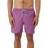 Maillot de bain de Playa y Piscine Rip Curl Daily Volley Homme violet