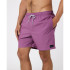 Maillot de bain de Playa y Piscine Rip Curl Daily Volley Homme violet