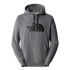 Mountain Sweatshirt The North Face Drew Peak Grey Men's
