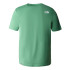 T-Shirt Montagne The North Face T-Shirt Montagne Homme Easy Green