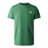 Mountain T-Shirt The North Face Simple Dome Hommes Vert