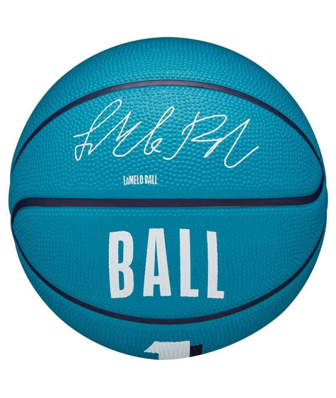 Ballons Basket-ball Wilson de Nba Player Icon...