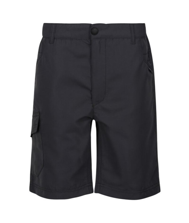 Mountain Trousers Regatta Sorcers II Seal Grey...