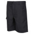 Mountain Trousers Regatta Sorcers II Seal Grey Kids