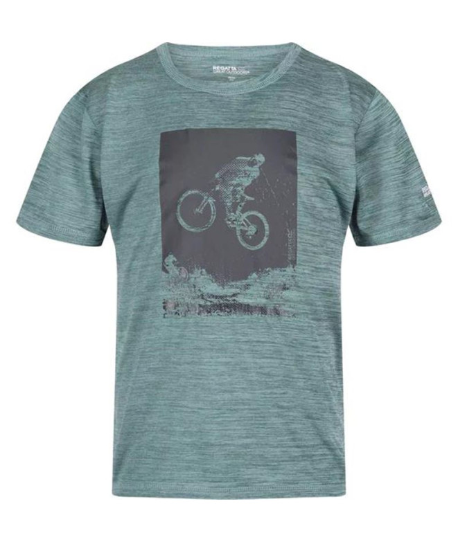 Mountain T-shirt Regatta Alvarado VII...