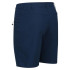Mountain Trousers Regatta Highton Mid Blue Wing Man