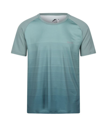 Mountain T-Shirt Regatta Pinmor Ivy Moss Man