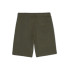 Pantalons Dickies Mapleton Military Homme
