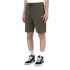 Pantalons Dickies Mapleton Military Homme