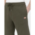 Pantalons Dickies Mapleton Military Homme