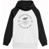 Sweatshirt 4F M221 Boy Cold Light Grey