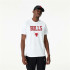 New Era NBA Chicago Bulls T-Shirt homme blanc
