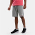 Pantalon Champion Bermuda Gris Hommes