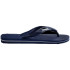 Tongs Havaianas Logo Filete Homme Bleu