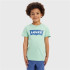 Levi's Batwing Meadow Boy's T-Shirt