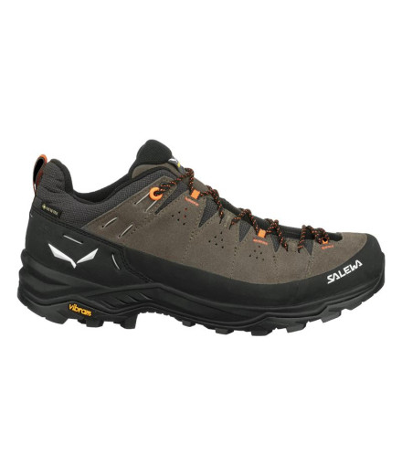 Chaussures Montagne de Salewa ALP Trainer 2 Gore-Tex...