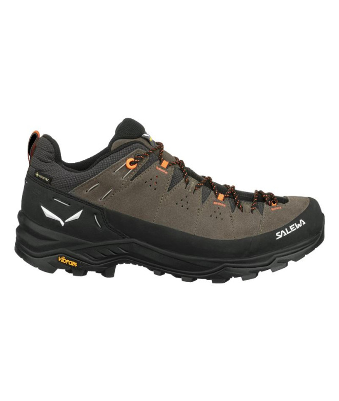Chaussures Montagne de Salewa ALP Trainer 2...
