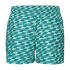Maillot de bain Puma Swim Formsrtip Short 1P Homme imprimé