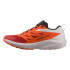 Chaussures de running sur sentier Salomon Sense Ride 5 Hommes Gris/Orange/Rouge