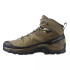 Bottes d'alpinisme Salomon Quest Rove Gore-Tex Marron/Noir Homme