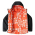 Veste The North Face Print RV Perrito Boy Grey