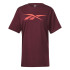 T-shirt Reebok RI Logo Marron Homme