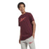 T-shirt Reebok RI Logo Marron Homme