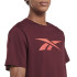 T-shirt Reebok RI Logo Marron Homme