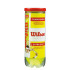 Balles Tennis Wilson du Championnat XD