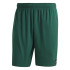 Maillot de bain de Natation adidas Sld Clx Homme vert