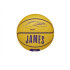Balle Basket-ball Wilson de Nba Player Icon Mini Lebron