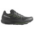 Chaussures de running Salomon Pulsar Trail Black/Black/Grgeck Hommes