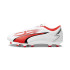 Football Puma Ultra Play Fg/Ag Boots Homme