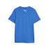 Puma Active Sports Graphic Kids T-Shirt