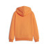 Sweatshirt Puma Ess Block Fl Kids