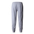 Pantalons de Montagne The North Face Nse Grey Homme